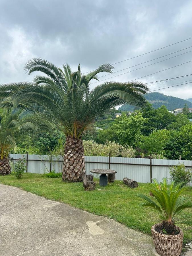 Guesthouse On Topchan 17 New Athos Екстер'єр фото